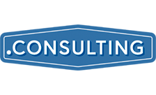 دامنه consulting