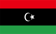دامنه ly