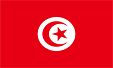 دامنه tn