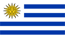 دامنه uy